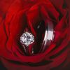 Wedding rings in red roses
